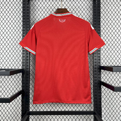 Camisola Principal País de Gales 2026