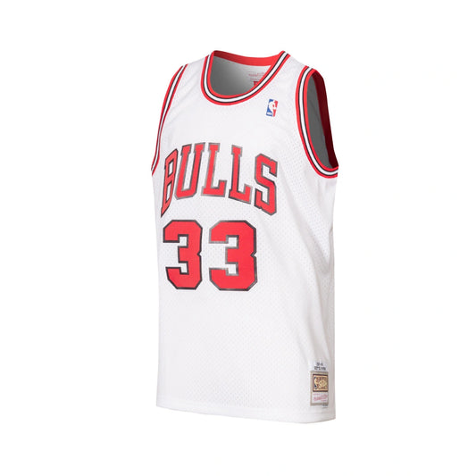 Retro Chicago Bulls