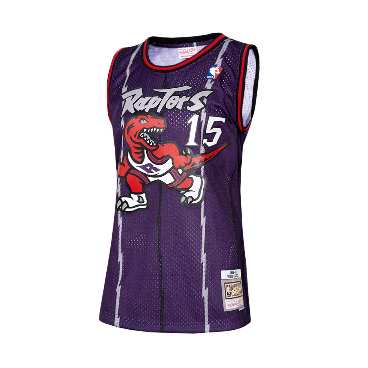 Retro Toronto Raptors