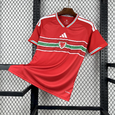 Camisola Principal País de Gales 2026